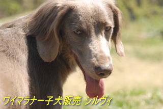 摜Q@C}i[OwA[